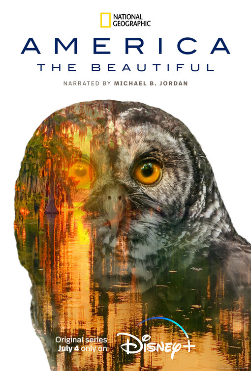 America the Beautiful Movie Poster