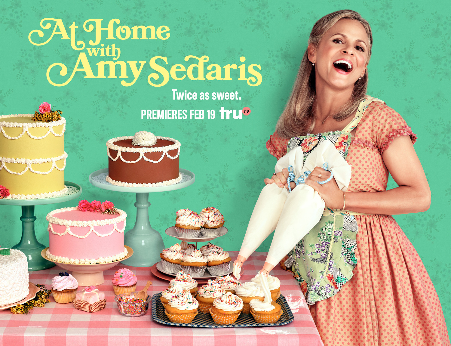 Extra Large TV Poster Image for At Home with Amy Sedaris 