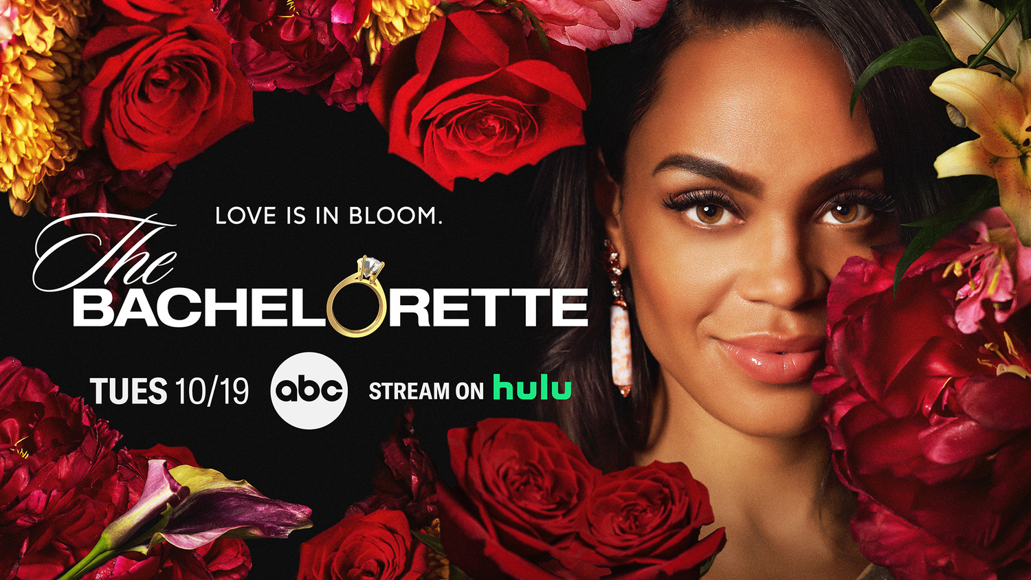 Extra Large TV Poster Image for The Bachelorette (#23 of 23)
