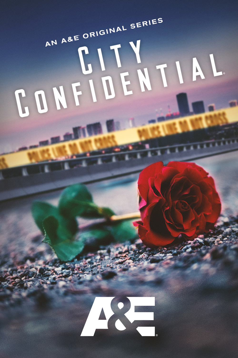 Extra Large TV Poster Image for City Confidential (#2 of 2)