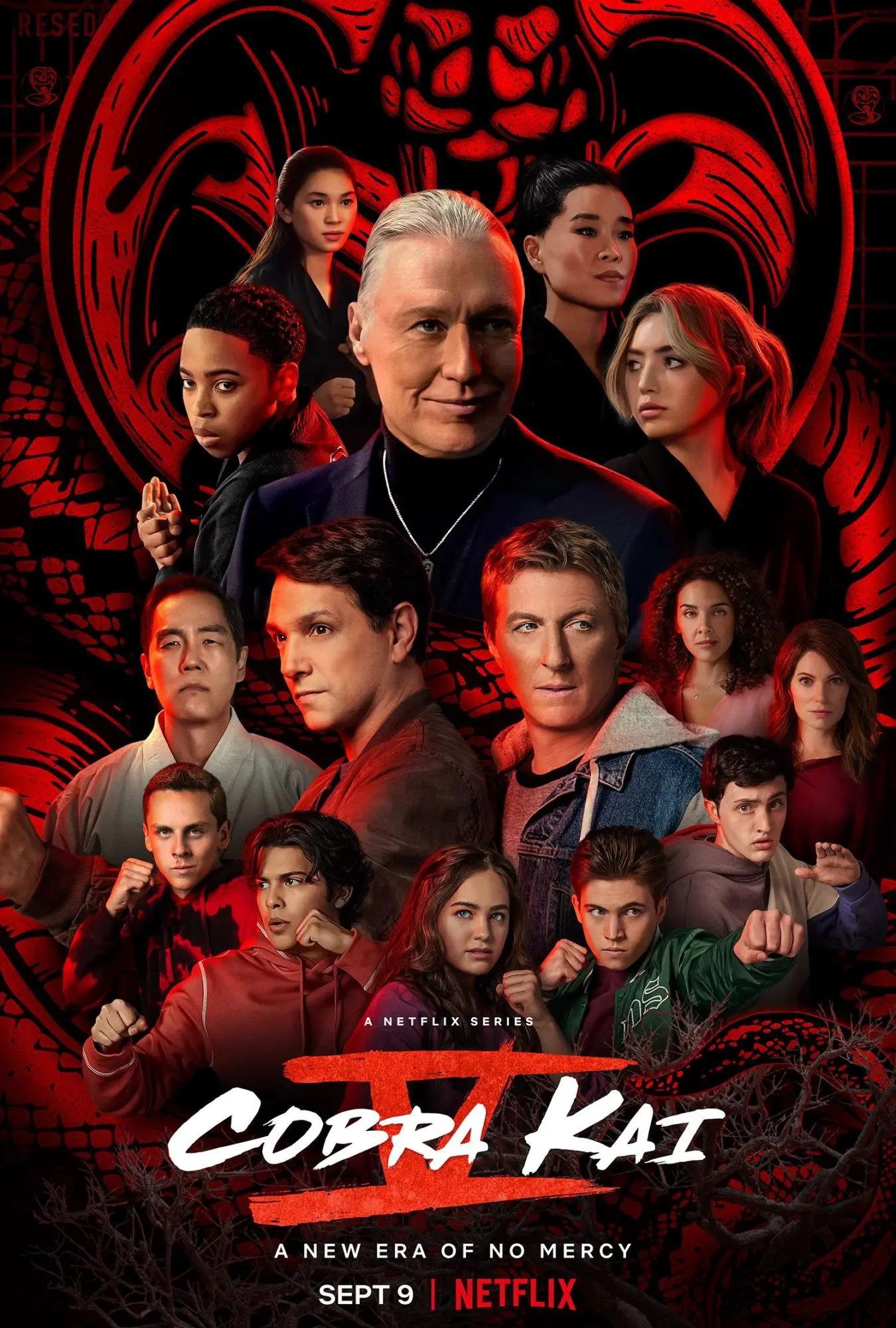 Mega Sized TV Poster Image for Cobra Kai (#20 of 26)