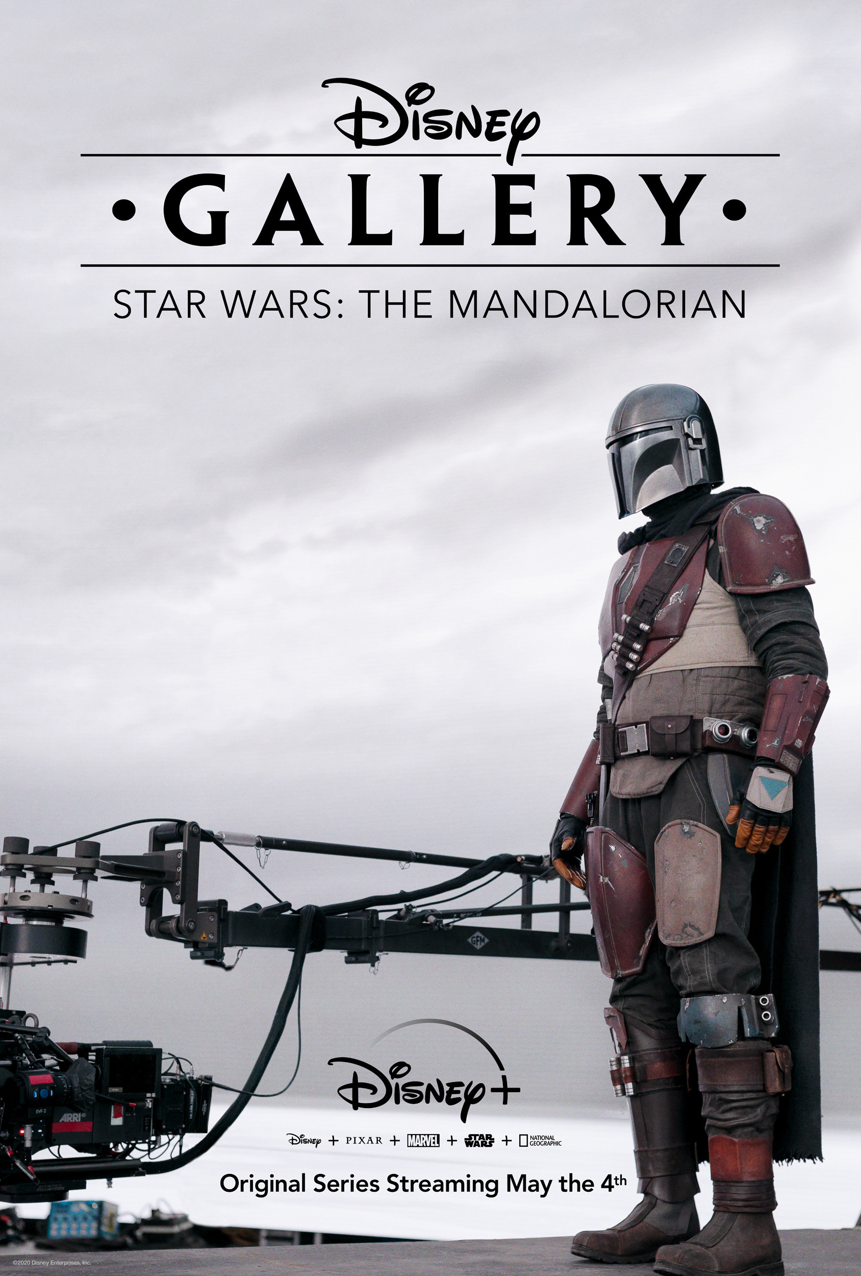 Mega Sized TV Poster Image for Disney Gallery: Star Wars: The Mandalorian (#1 of 2)