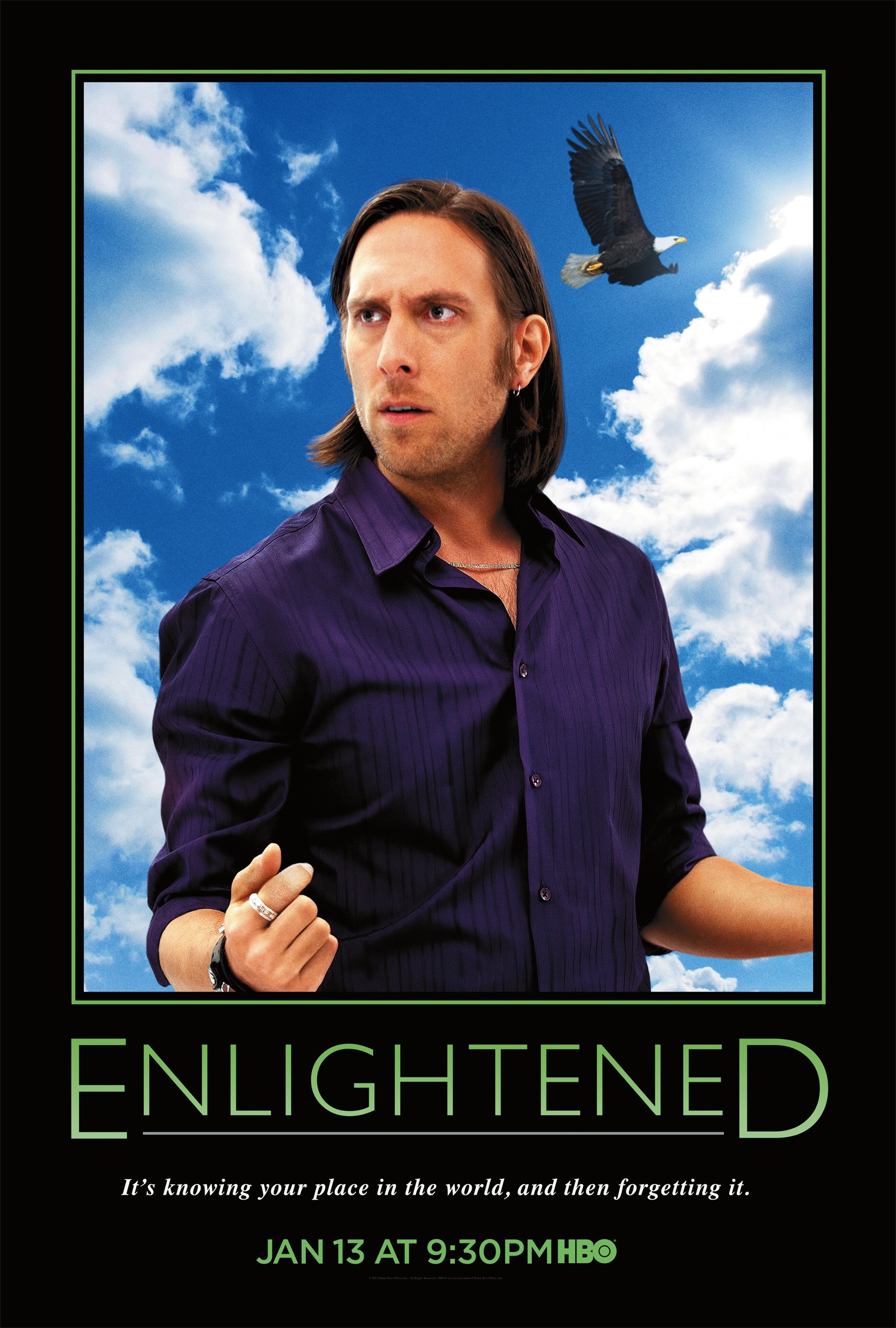 Mega Sized TV Poster Image for Enlightened (#5 of 7)