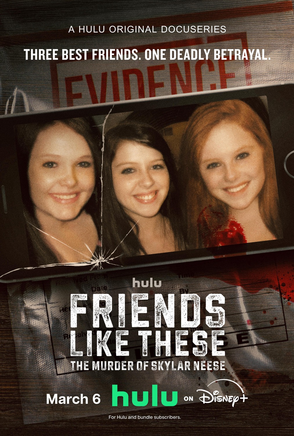 Extra Large TV Poster Image for Friends Like These: The Murder of Skylar Neese 