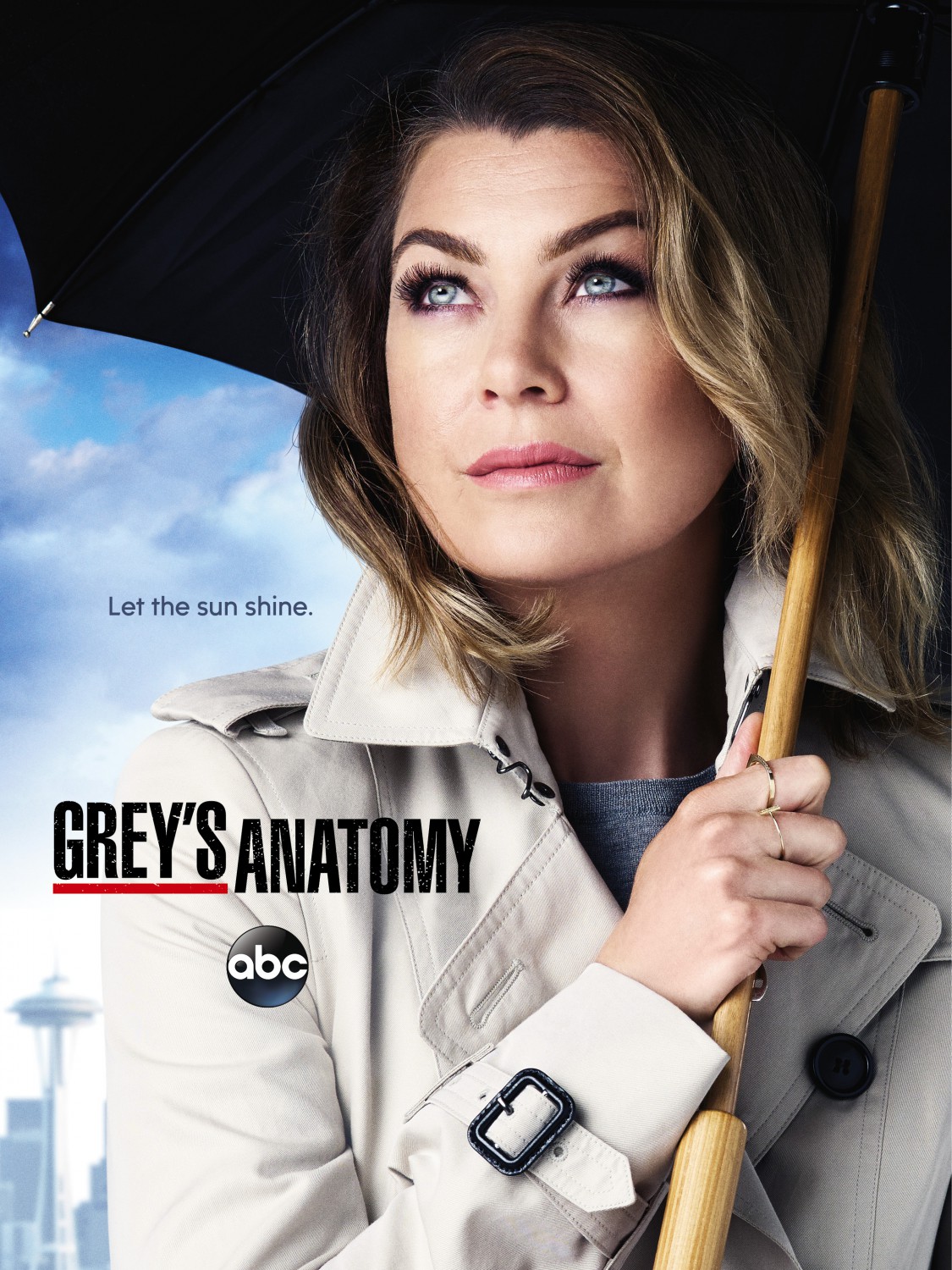 Extra Large TV Poster Image for Grey's Anatomy (#17 of 30)