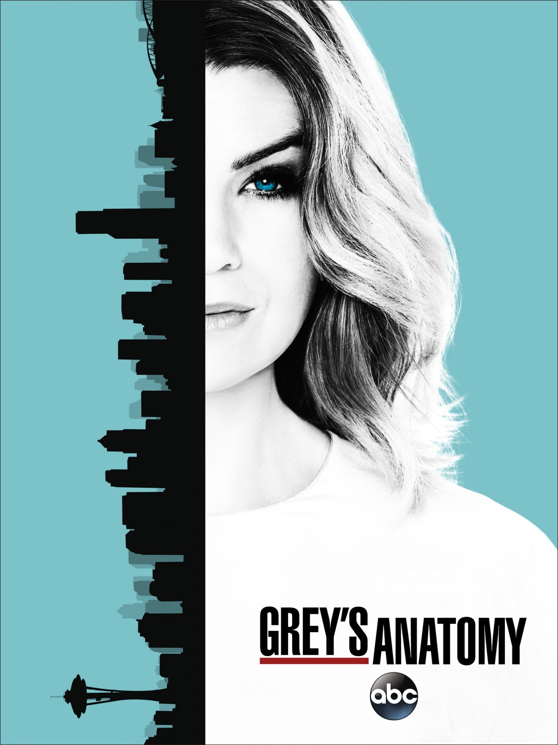 Extra Large TV Poster Image for Grey's Anatomy (#18 of 30)