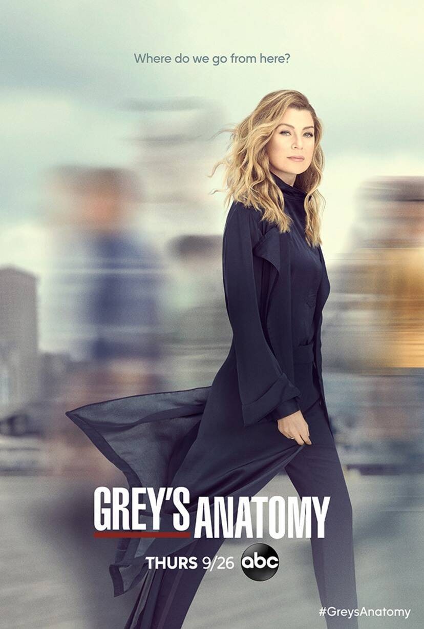 Extra Large TV Poster Image for Grey's Anatomy (#21 of 30)