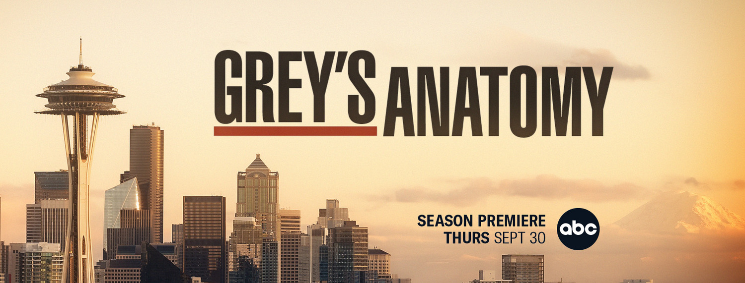 Extra Large TV Poster Image for Grey's Anatomy (#23 of 30)