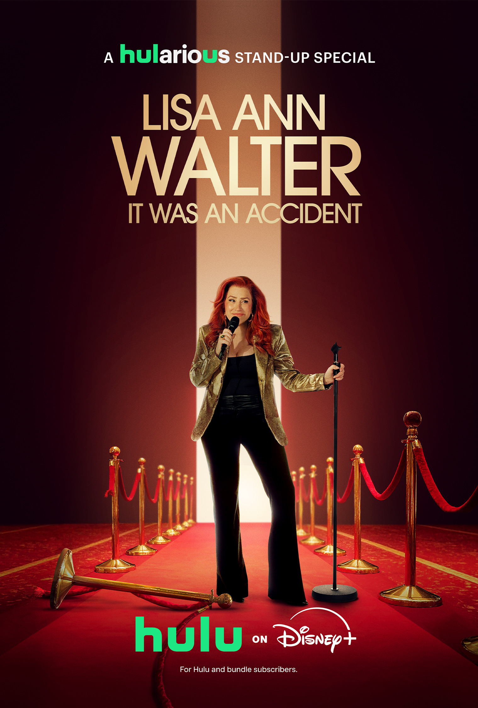 Mega Sized TV Poster Image for Lisa Ann Walter: It Was an Accident (#1 of 2)