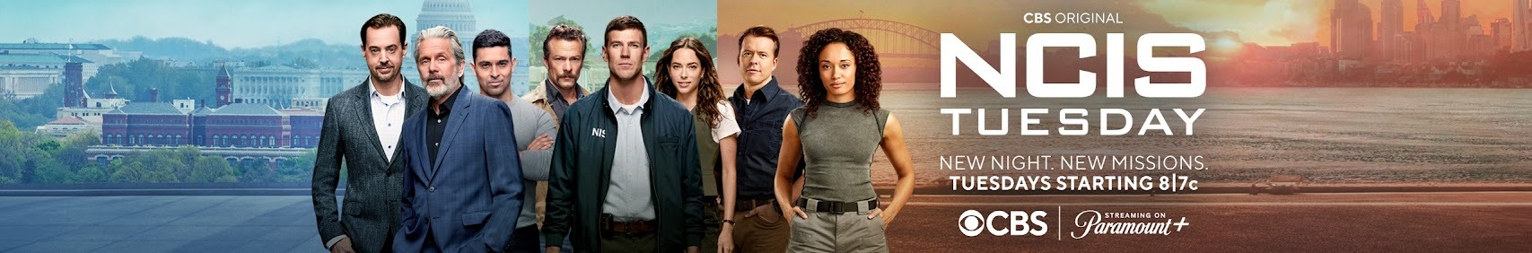 Extra Large TV Poster Image for NCIS: Naval Criminal Investigative Service (#6 of 6)