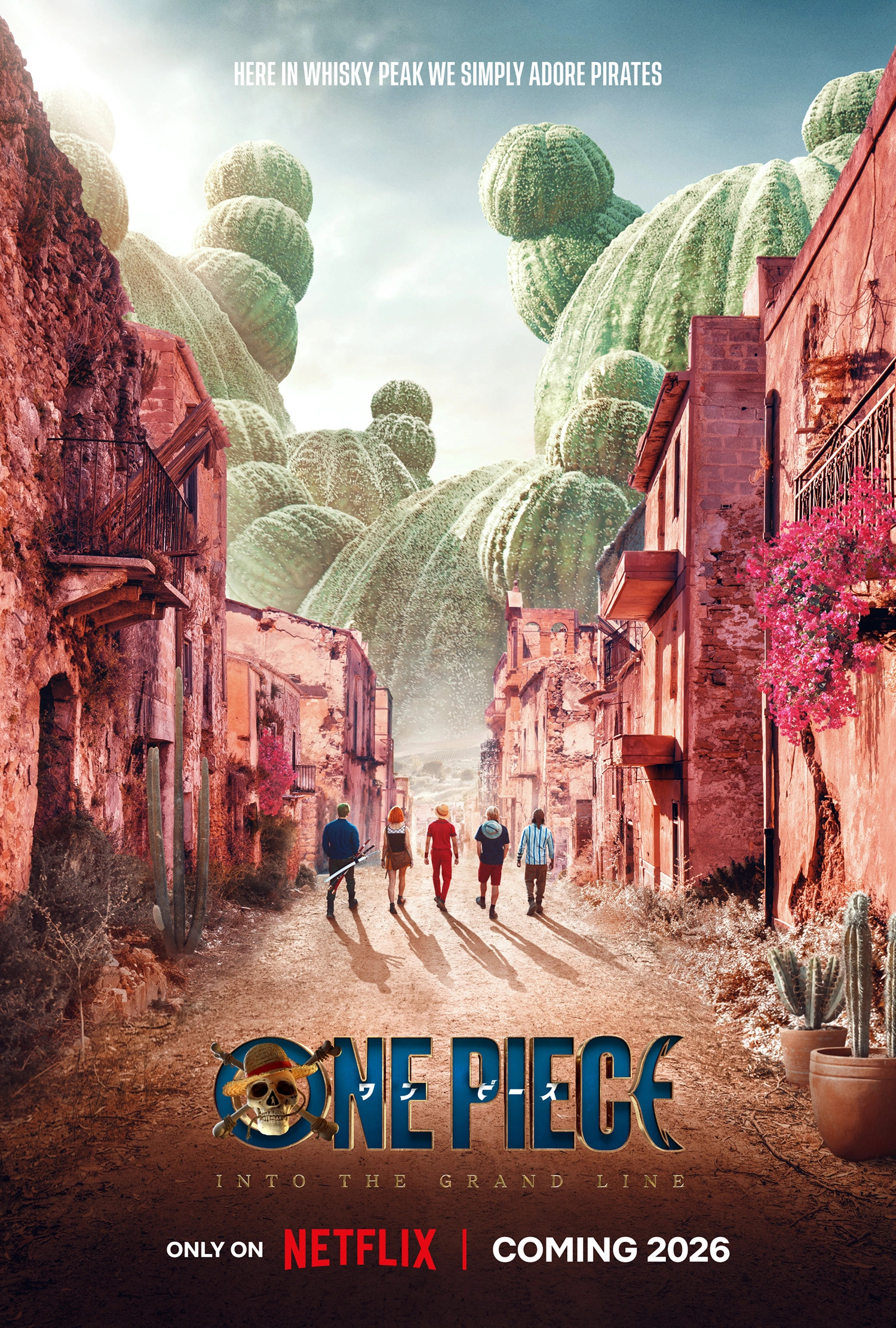 Mega Sized TV Poster Image for One Piece (#21 of 23)