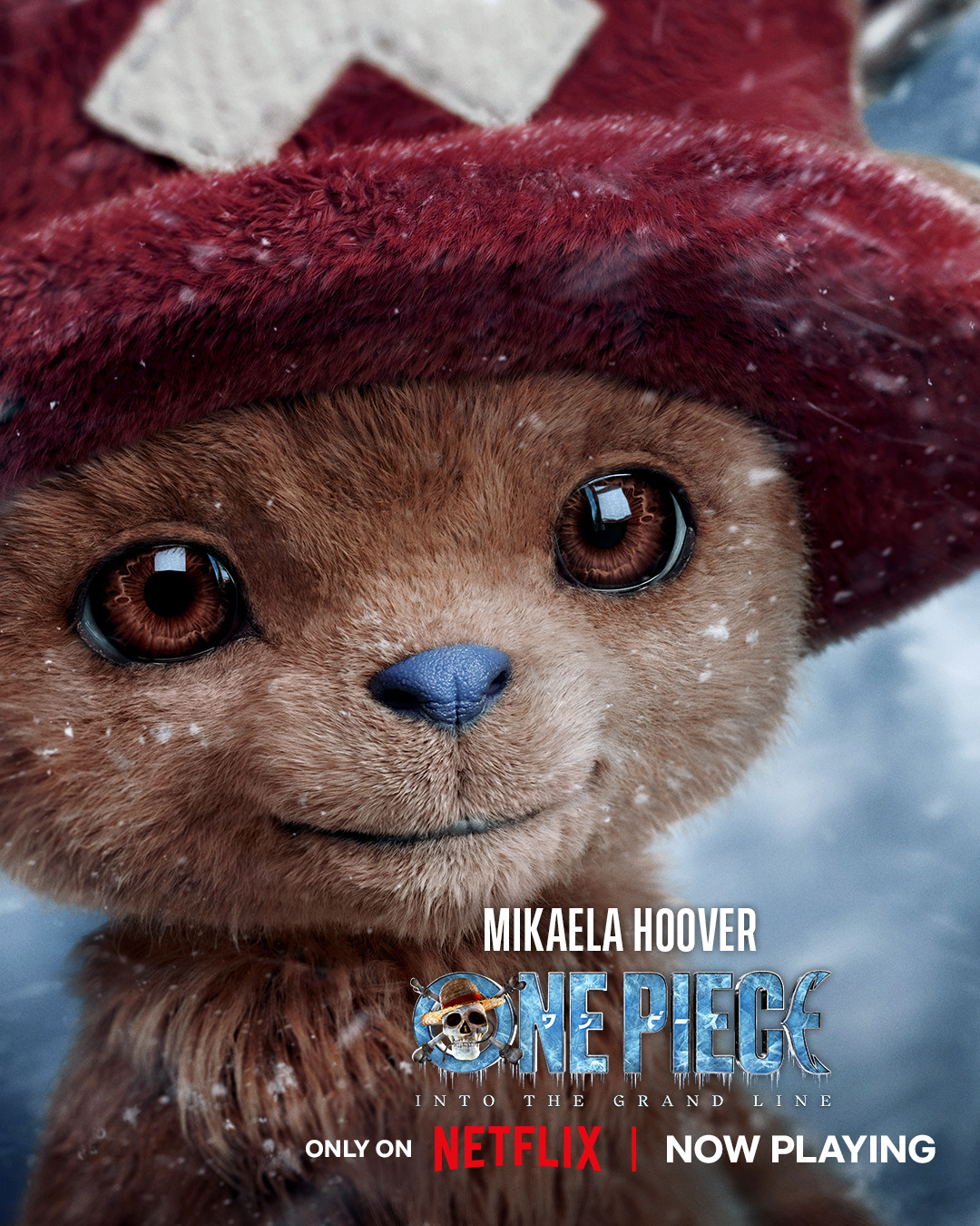 Extra Large TV Poster Image for One Piece (#44 of 45)