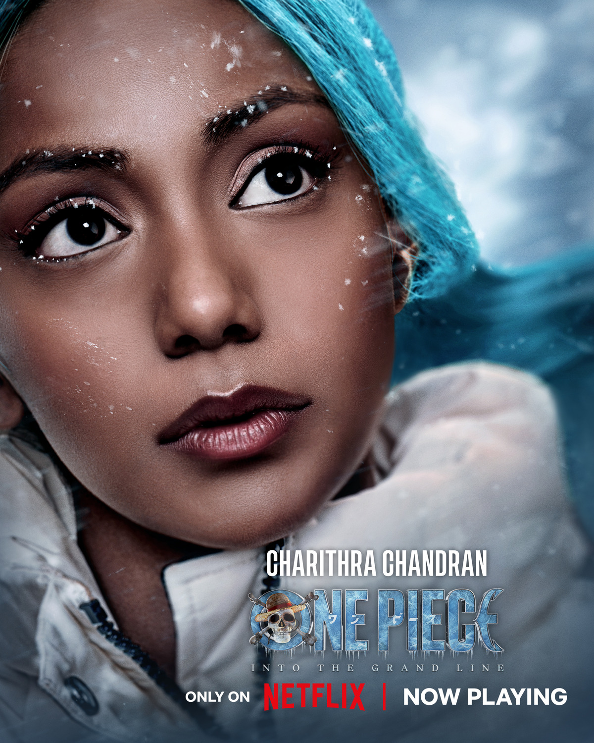 Extra Large TV Poster Image for One Piece (#45 of 45)