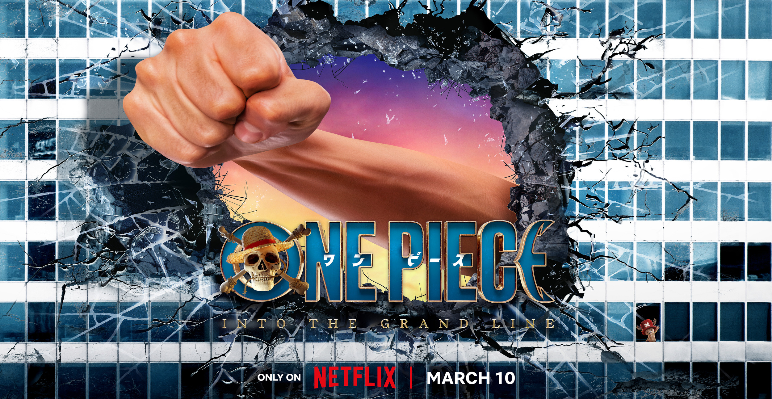 Mega Sized TV Poster Image for One Piece (#47 of 54)