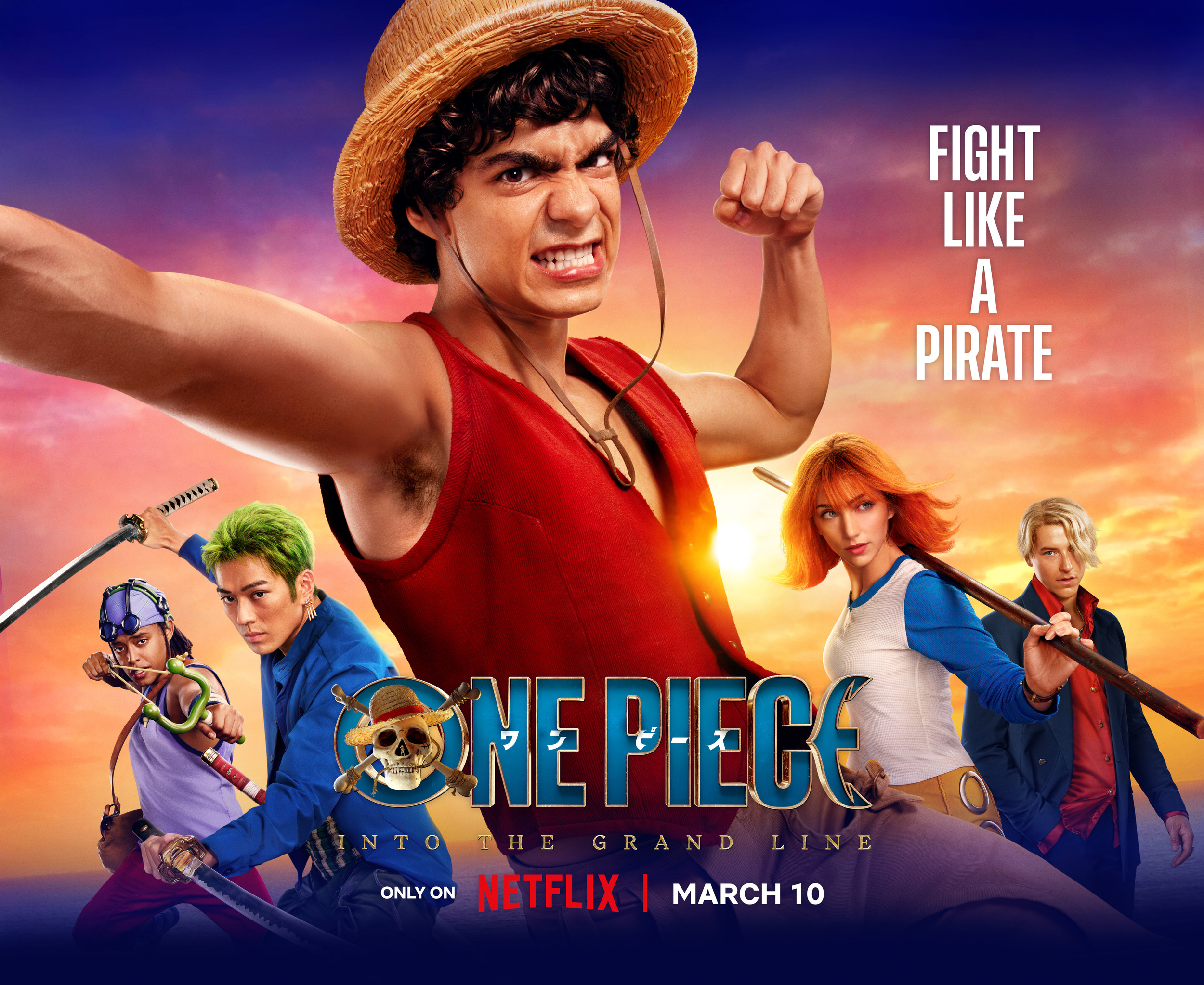 Mega Sized TV Poster Image for One Piece (#48 of 54)