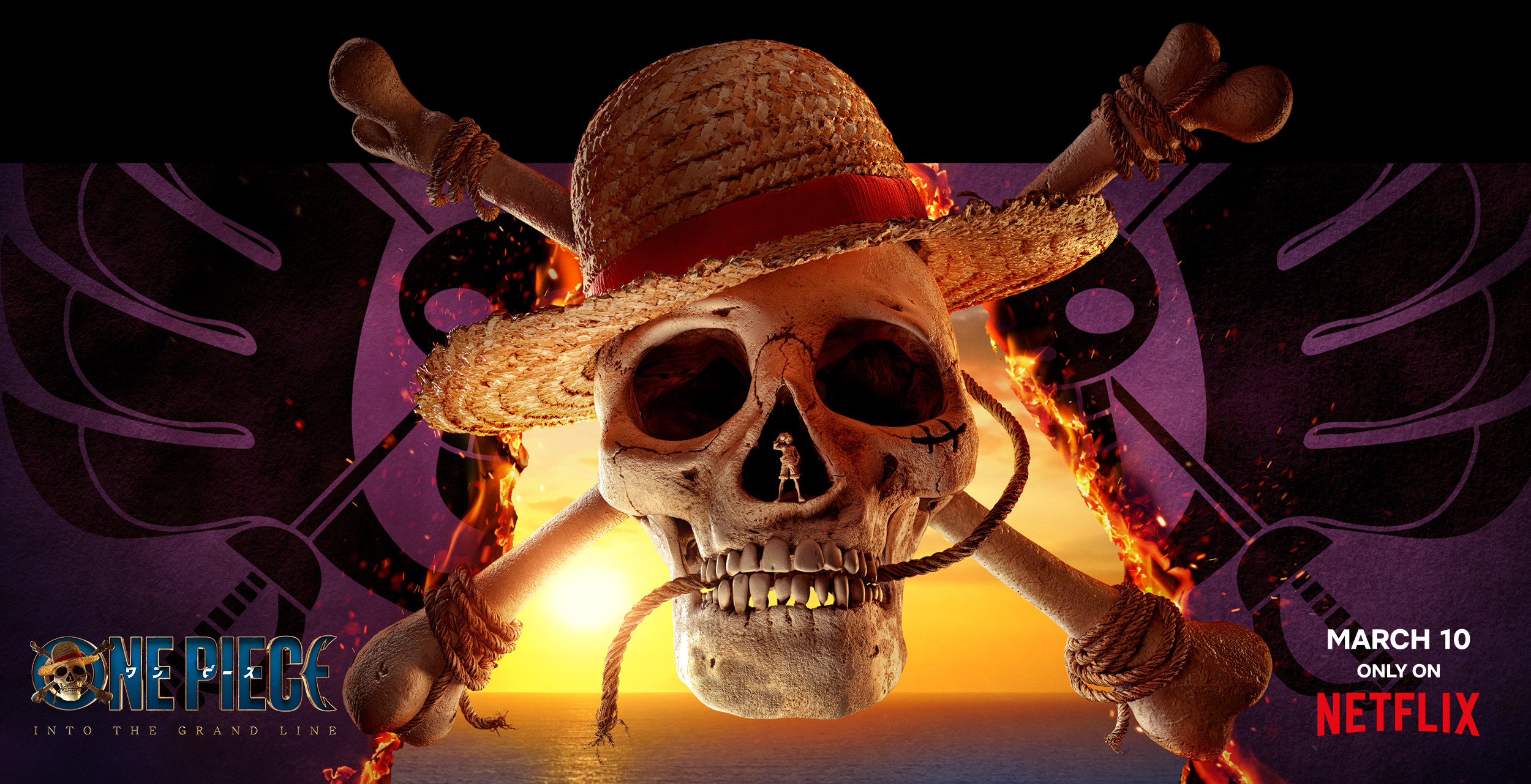 Mega Sized TV Poster Image for One Piece (#52 of 54)