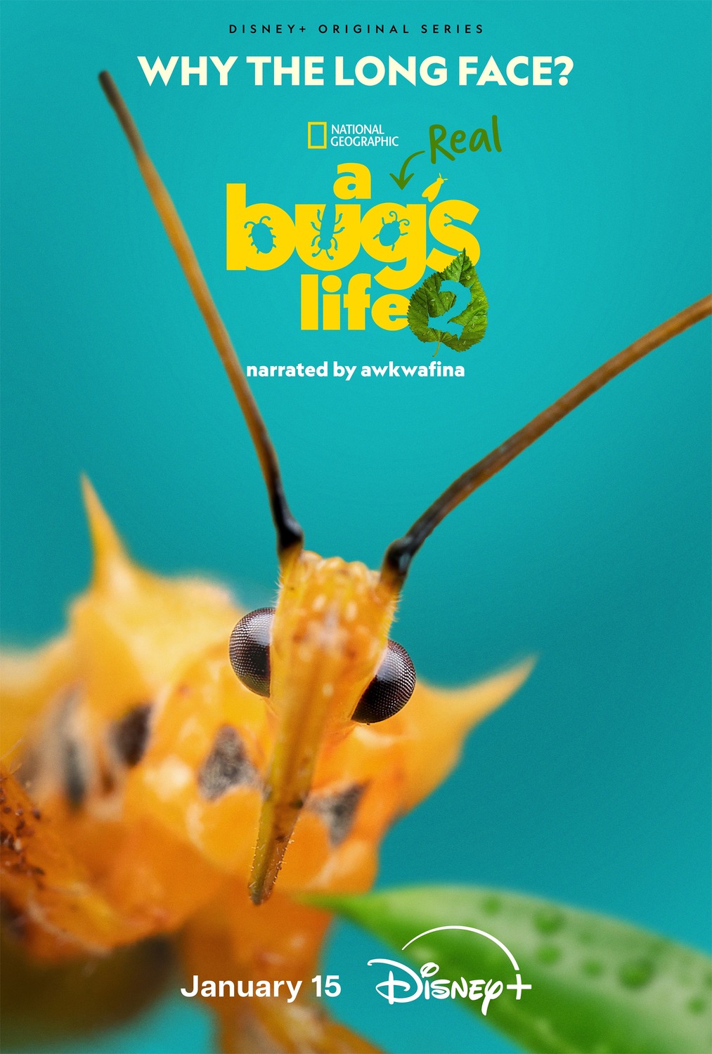 Extra Large TV Poster Image for A Real Bug's Life (#11 of 13)