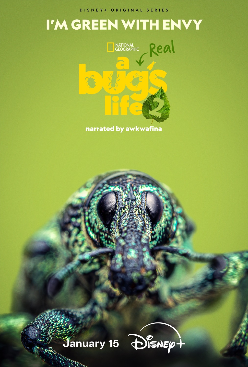 Extra Large TV Poster Image for A Real Bug's Life (#12 of 13)