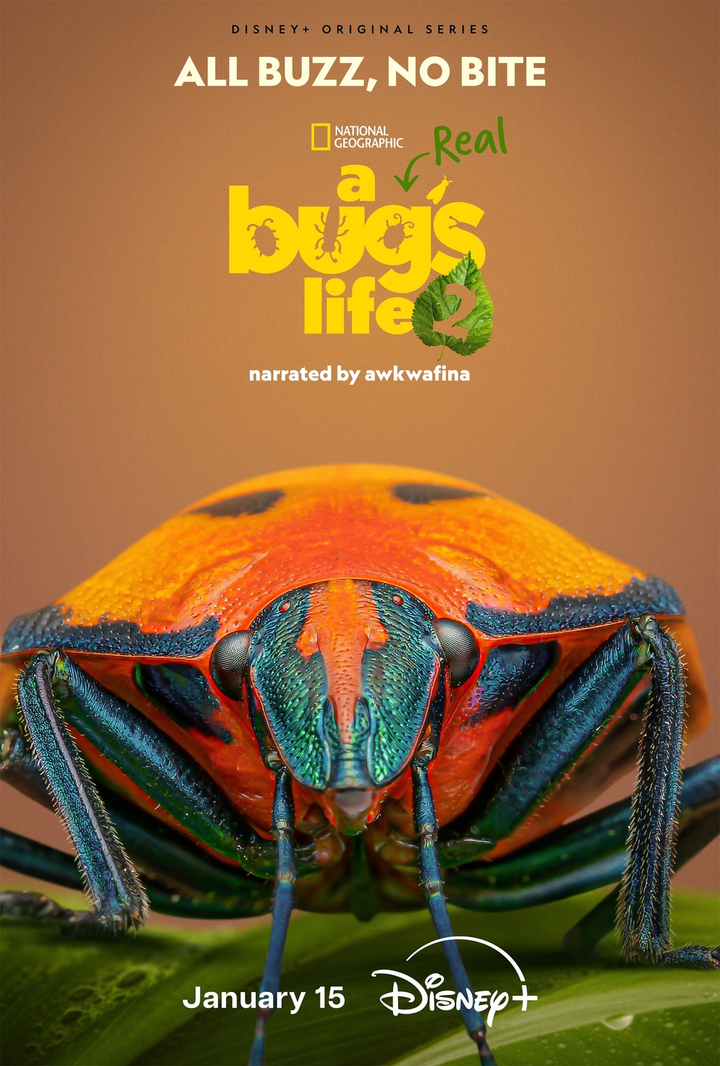 Extra Large TV Poster Image for A Real Bug's Life (#13 of 13)