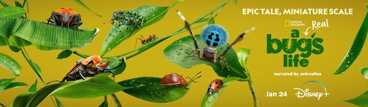 A Real Bug's Life Movie Poster