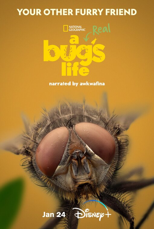 A Real Bug's Life Movie Poster