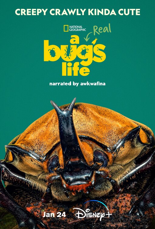 A Real Bug's Life Movie Poster