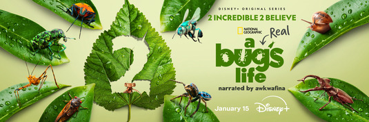 A Real Bug's Life Movie Poster