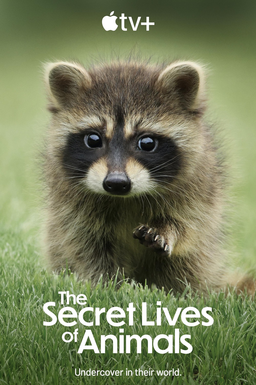 Extra Large TV Poster Image for The Secret Lives of Animals 