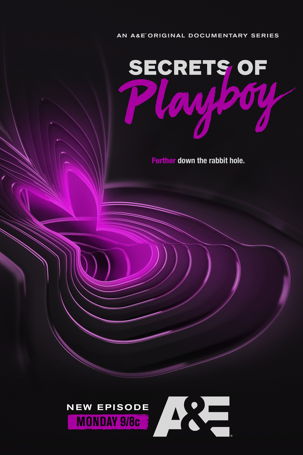 Extra Large TV Poster Image for Secrets of Playboy (#2 of 4)