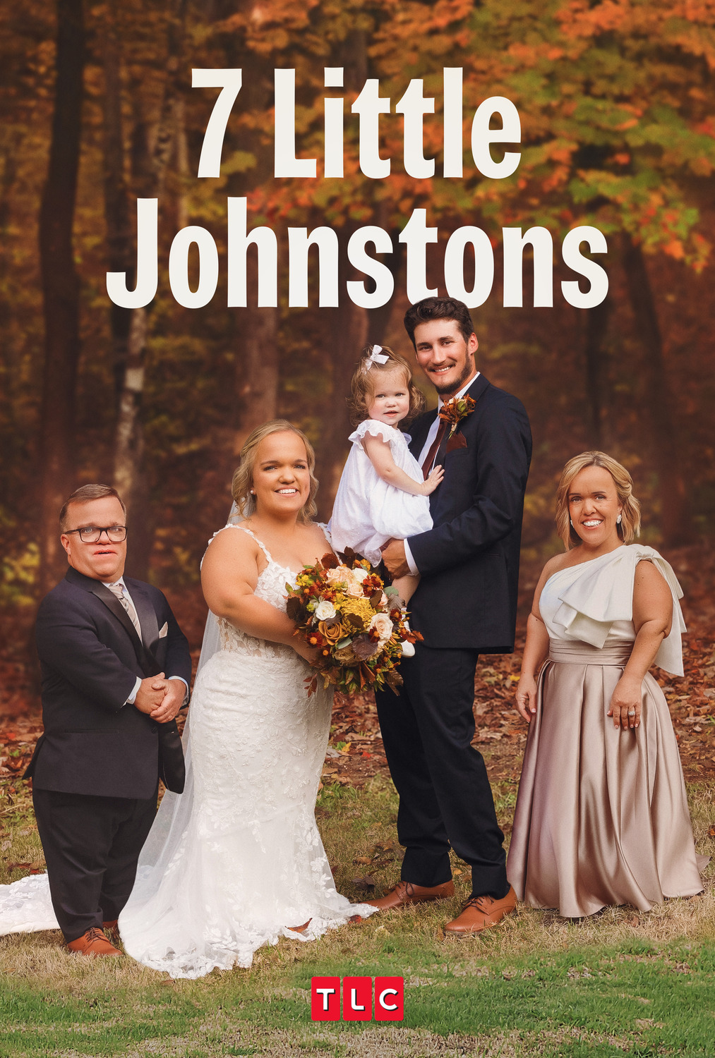 Extra Large TV Poster Image for 7 Little Johnstons (#2 of 2)