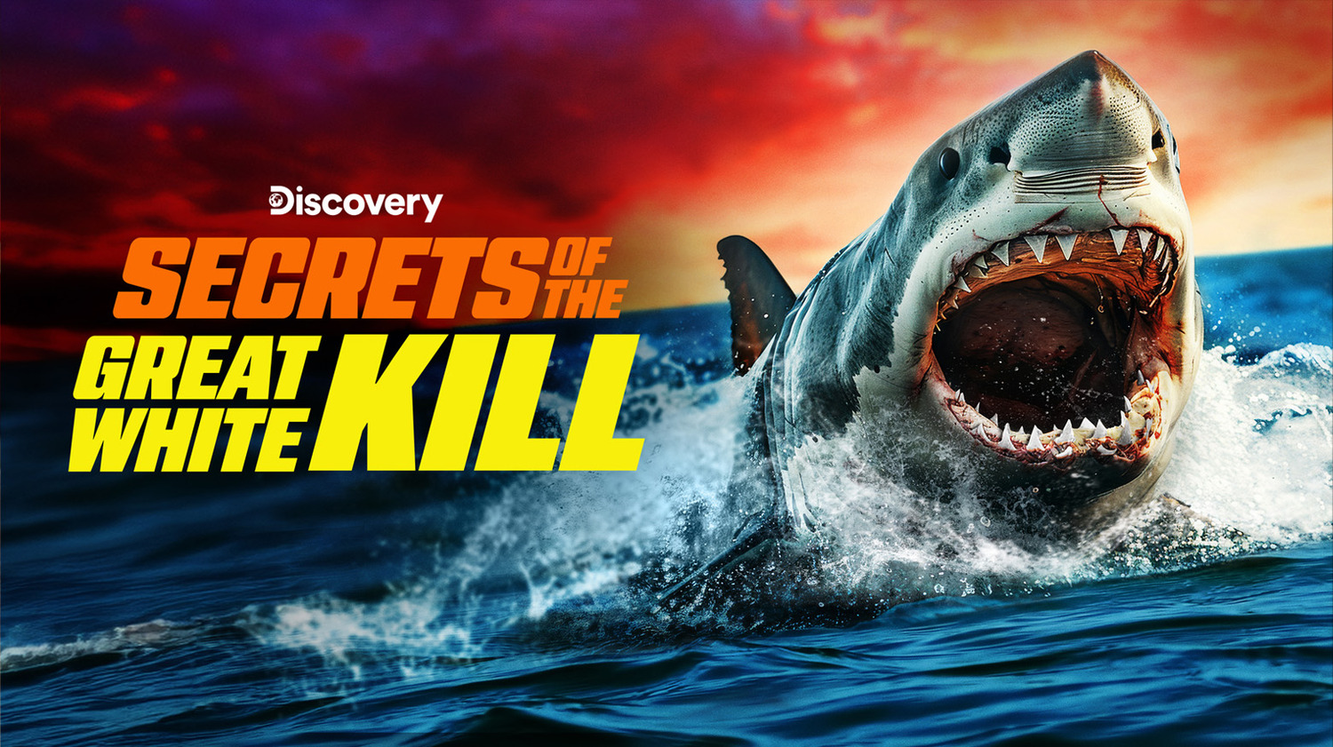 Extra Large TV Poster Image for Shark Week (#19 of 19)