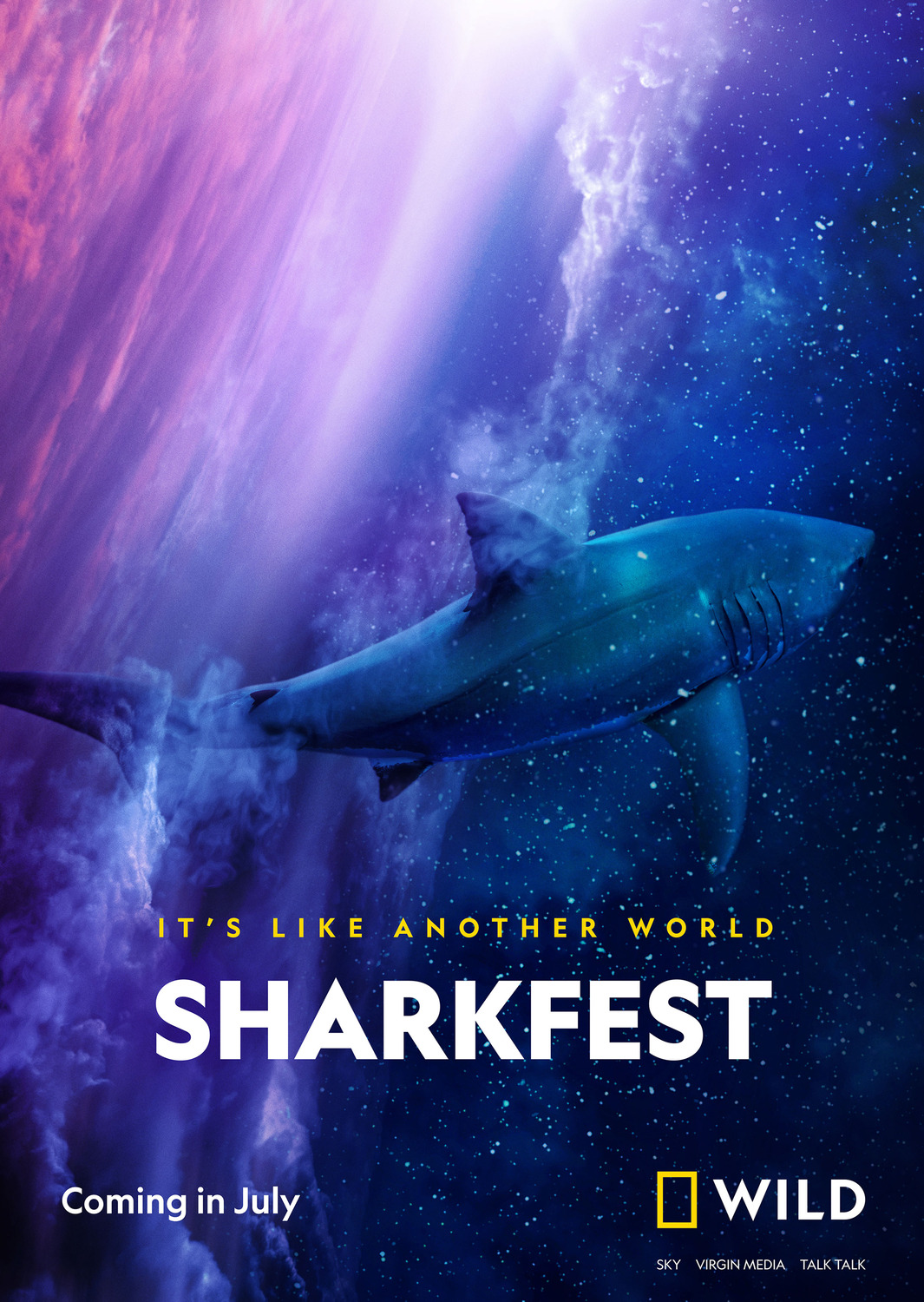 Extra Large TV Poster Image for Sharkfest (#2 of 3)