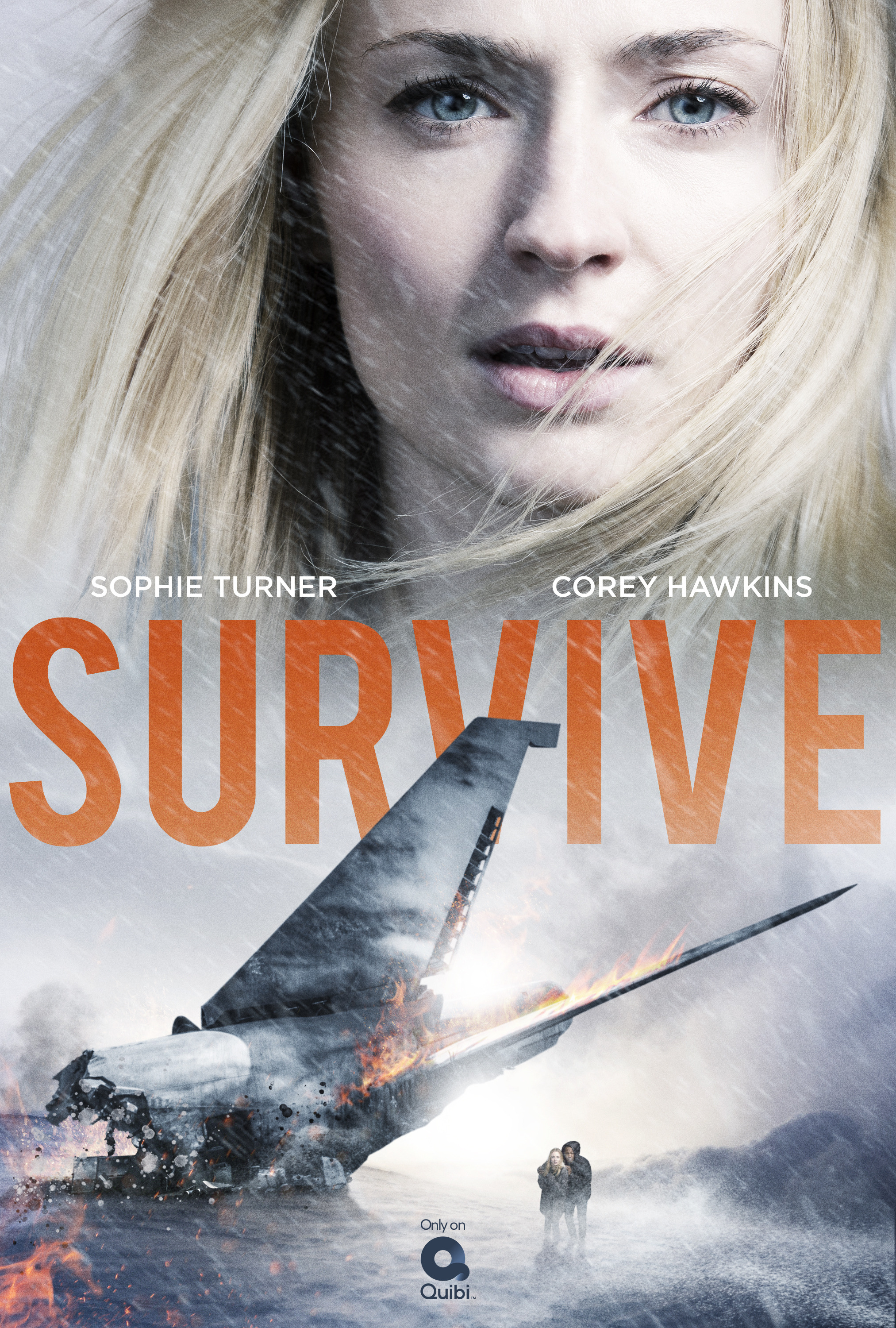 Mega Sized TV Poster Image for Survive 