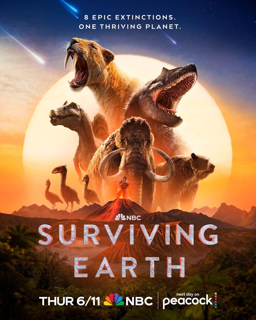 Extra Large TV Poster Image for Surviving Earth 