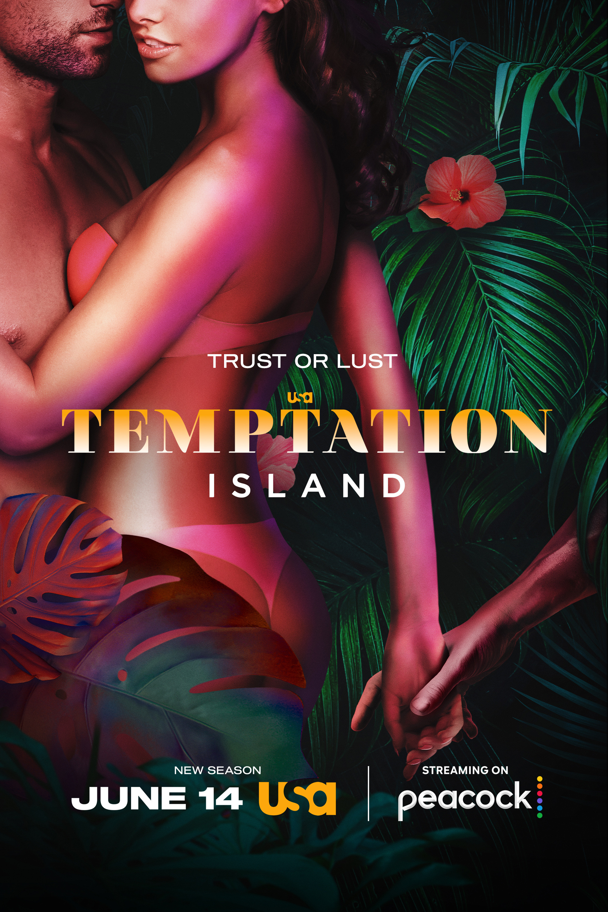 Mega Sized TV Poster Image for Temptation Island (#2 of 2)