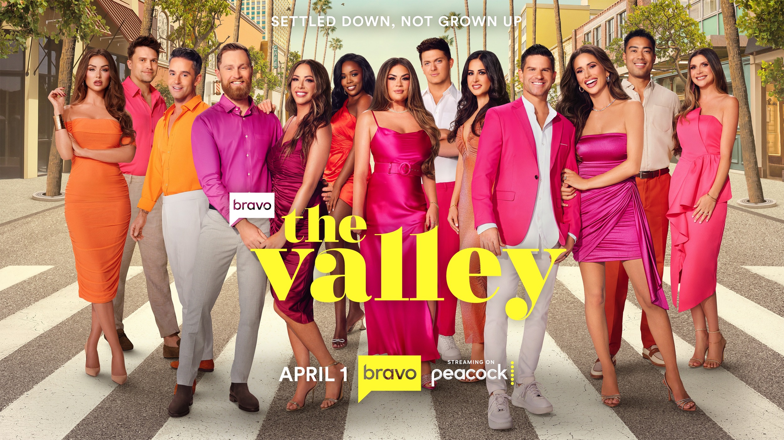 Mega Sized TV Poster Image for The Valley (#6 of 6)