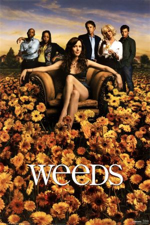 Weeds Movie Poster